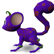 Mossm Hibscus