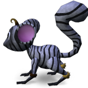 Mossm zebra Suzy